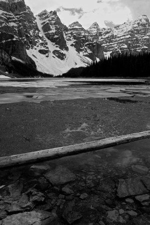 Floating Log, Moraine Lake (B+W)