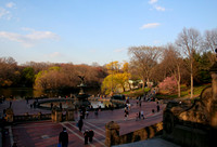 Springtime in Central Park, NYC