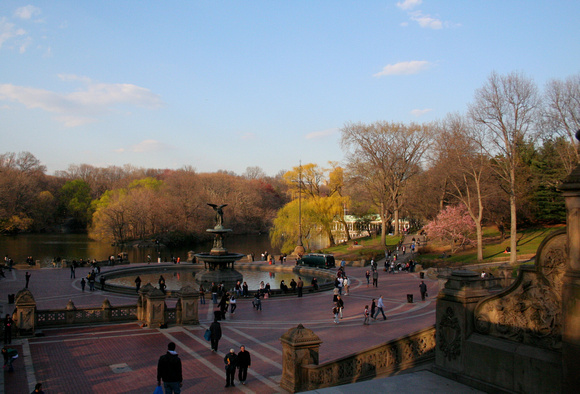 Springtime in Central Park, NYC