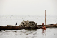 Clay diver, Kumarakom Lake, Kerala