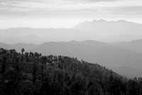 The Nilgiris B&W, Tamil Nadu