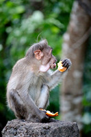 Snacking, Kerala