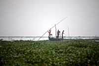 Fisherman, Kumarakom Lake, Kerala