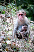 Mother and child, Kerala