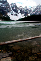 Floating Log, Moraine Lake