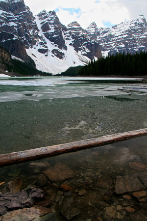 Floating Log, Moraine Lake