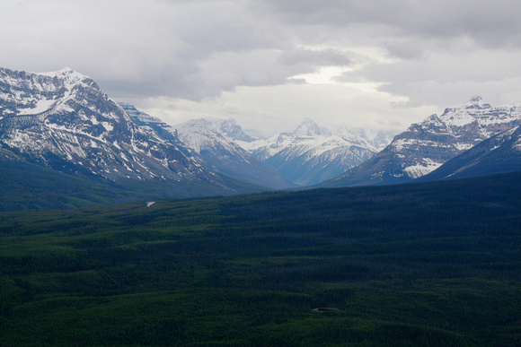 Castle Lookout