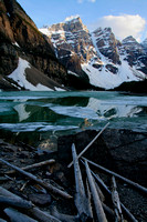 Timber, Moraine Lake