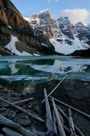 Timber, Moraine Lake