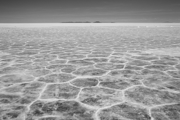 Salar, in black and white