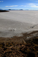 Hiking an island on the Salar